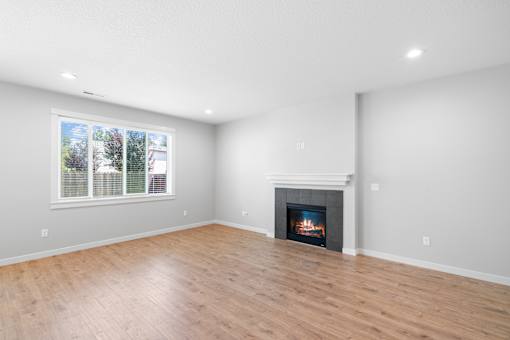 Living Area Fireplace