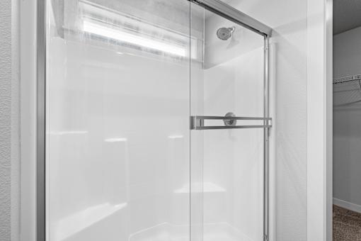 Primary Bath Walk-In Shower