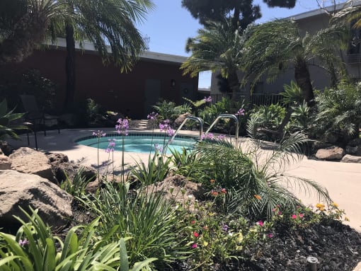 a swimming pool in a garden with palm trees