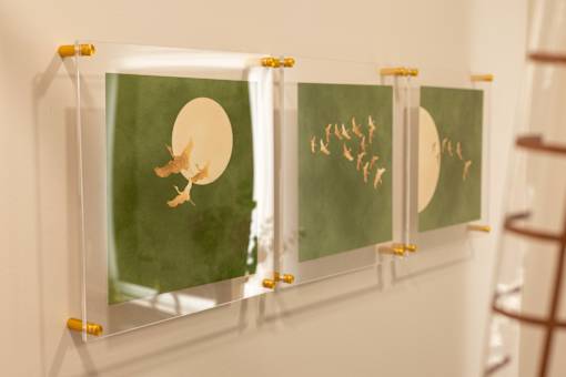 Pictures of Birds at Parallel Apartments, Omaha, Nebraska