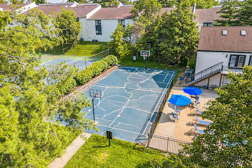 A basketball court surrounded by trees and a fence.