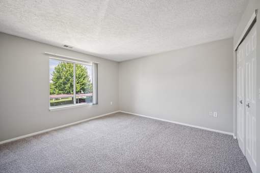 A room with a carpeted floor and a window showing a tree outside.