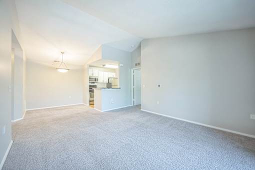 A spacious room with a carpeted floor and a kitchen area in the background.