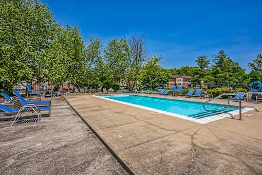 A large outdoor swimming pool surrounded by trees and lounge chairs.