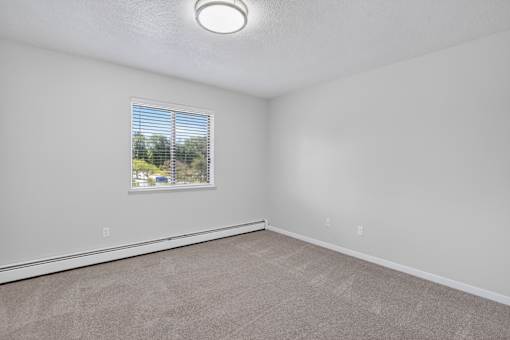 A room with a window and a carpeted floor.