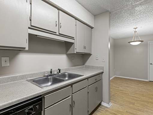 A kitchen with a sink, dishwasher, and cabinets.