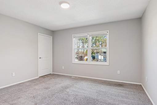 A room with a carpeted floor and a window showing trees outside.