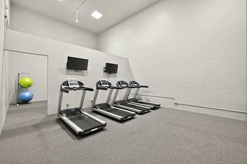 A gym with treadmills and exercise balls.