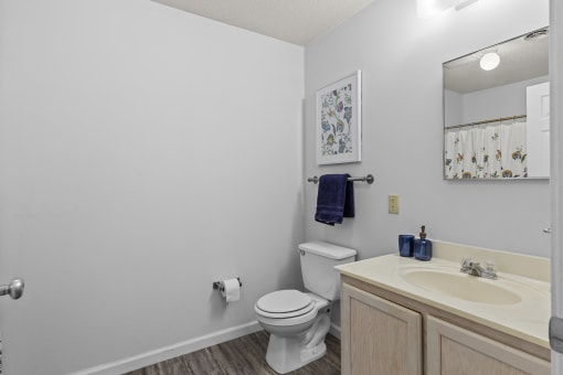 a bathroom with a toilet and a sink and a mirror