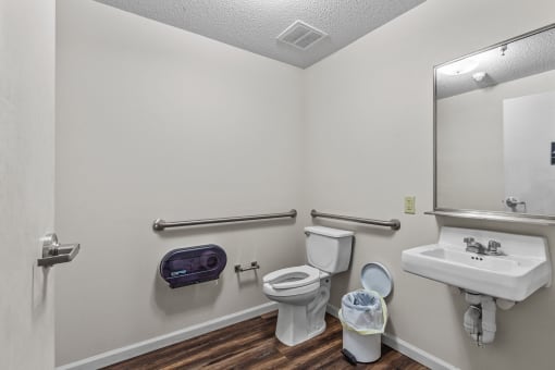a bathroom with a toilet and a sink and a mirror