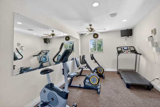 A well-equipped home gym with a mirror, treadmill, and exercise bikes.