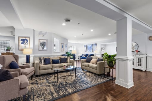 a living room with couches and chairs and a rug