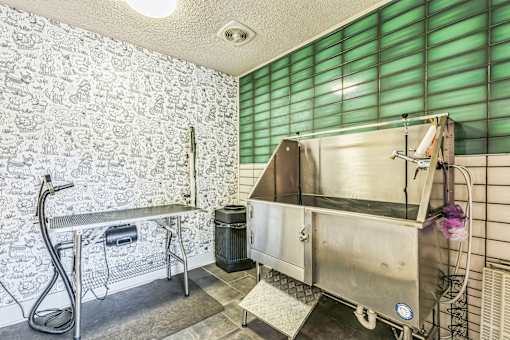 A kitchen with a stainless steel sink and a green trash can.