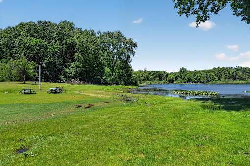 A park with a pond and trees.