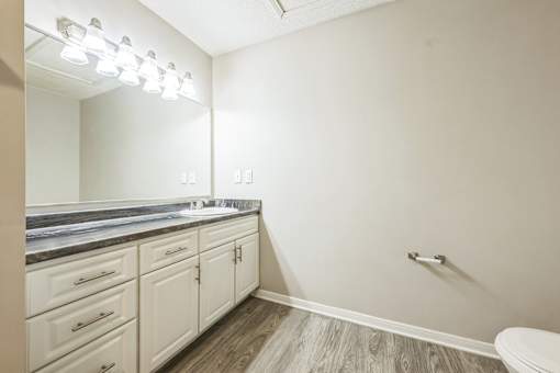A bathroom with a white toilet and a vanity with a mirror.