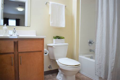 A white toilet sits in a bathroom next to a sink and a plant.