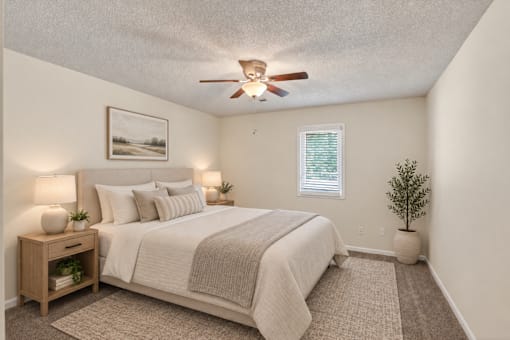 A bedroom with a bed, nightstand, and a plant.
