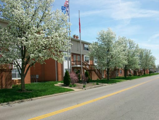 a street with a building and trees with white flowers