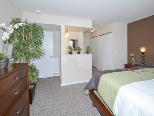 a bedroom with a bed and a plant and a dresser