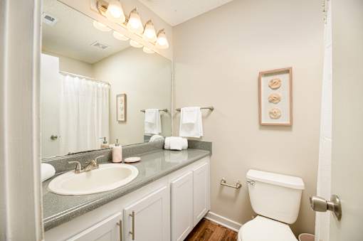 Bathroom with white toilet and sink at Southwind Apartments in Richland, MS.