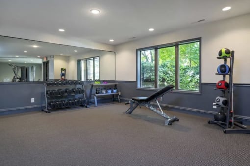 the gym has plenty of weights and dumbbells