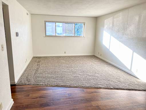 A room with a rug on the floor and a window with blinds.