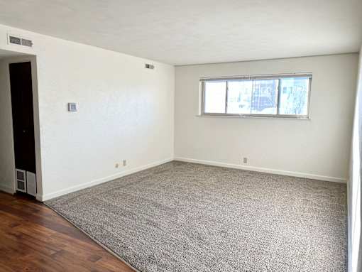 A room with a grey carpet and a window.