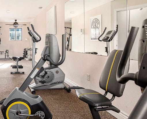 A gym with a row of exercise bikes.