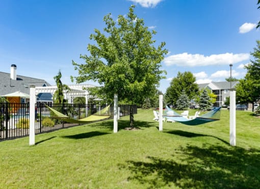 a yard with hammocks and a hammock swing in the grass