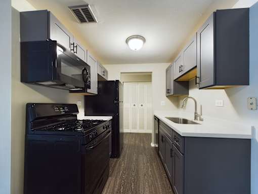 A kitchen with black appliances and cabinets.