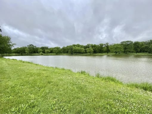 a body of water with grass and trees on the other side of it