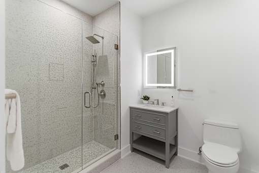 A bathroom with a walk in shower, toilet and vanity.