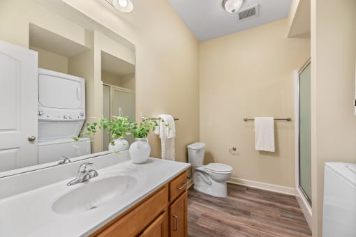 a bathroom with a toilet and a sink and a mirror