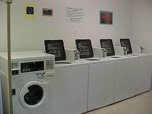 A row of washing machines are lined up in a laundromat.