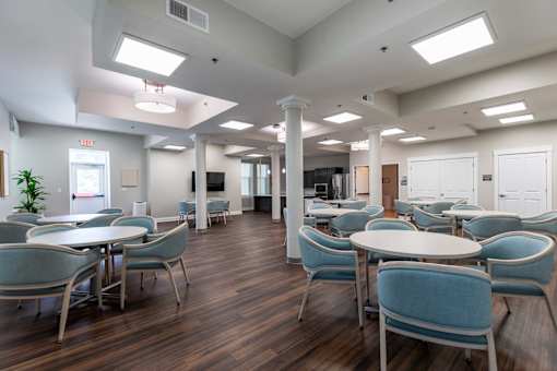 A room with tables and chairs and a plant.