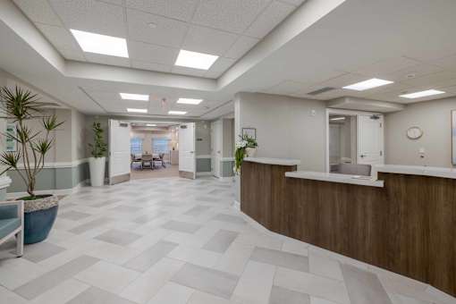 A reception area with a wooden counter and a plant on it.