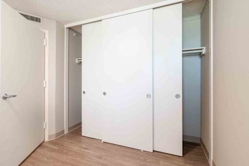 A white closet with a door and a mirror.