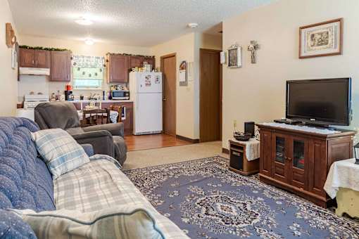 A living room with a couch, a television, and a rug.