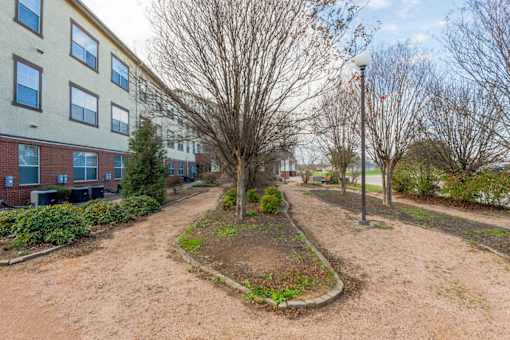 A tree in a garden in front of a building.