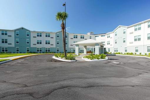 A palm tree stands in front of a white and blue building.