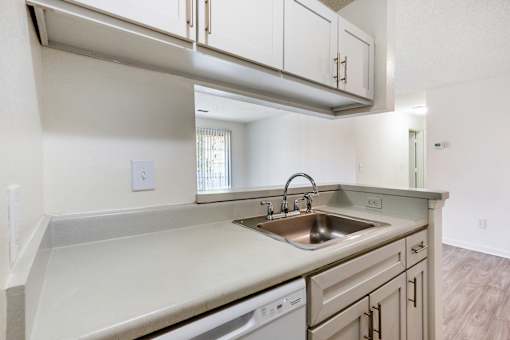 Kitchen with Sink at Wellington Place, Virginia, 23150