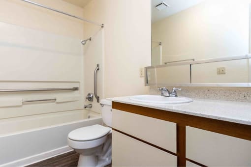 a bathroom with a sink and a toilet and a bath tub