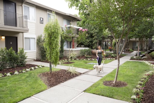 a woman walking her dog on a sidewalk in front of an apartment building at Abby Creek Apartments, Carmichael California 