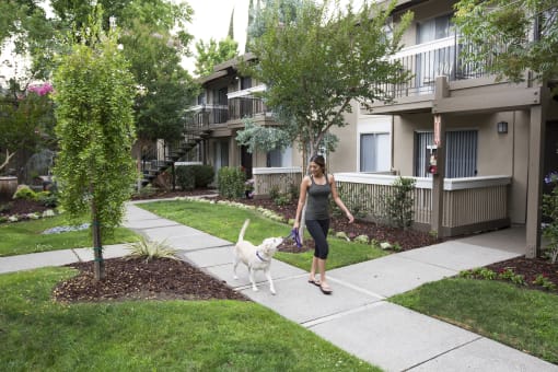 a woman walking her dog on a sidewalk in front of an apartment building at Abby Creek Apartments, Carmichael, 95608 