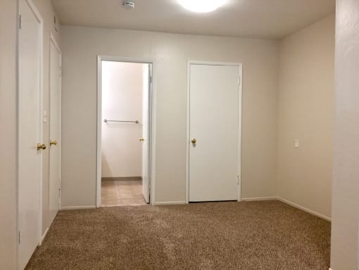 Carpeted bedroom and closet door