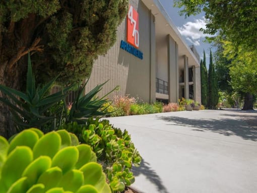 470 Building and Logo and Plants