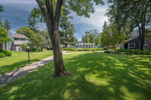 Willow Grove grassy landscape with a tree and a sidewalk at Willow Grove Apartments, Sacramento, 95825