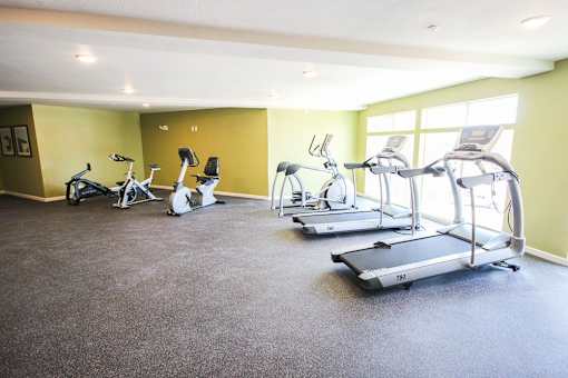 A room with a green wall and a treadmill.