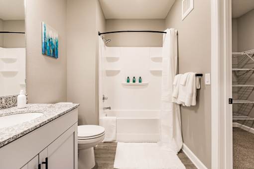 a bathroom with a shower and a toilet and a sink