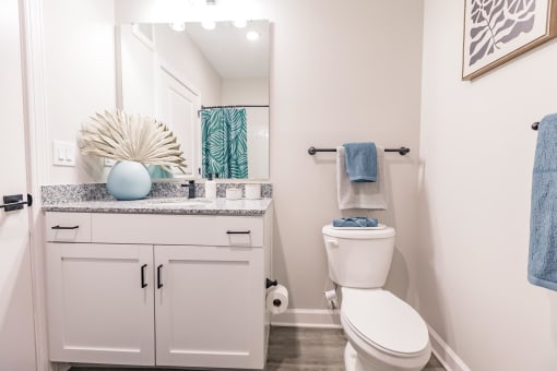 a bathroom with a toilet and a sink and a mirror at  a living room with tables and chairs and a ceiling fan at Swiftwater apartments in Port Charlotte, FL